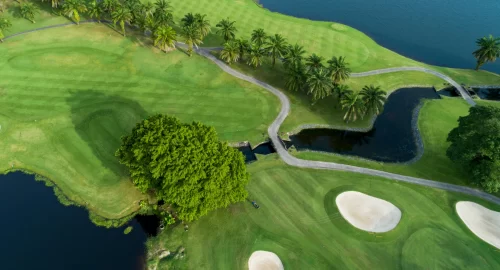 Overhead view of golf course