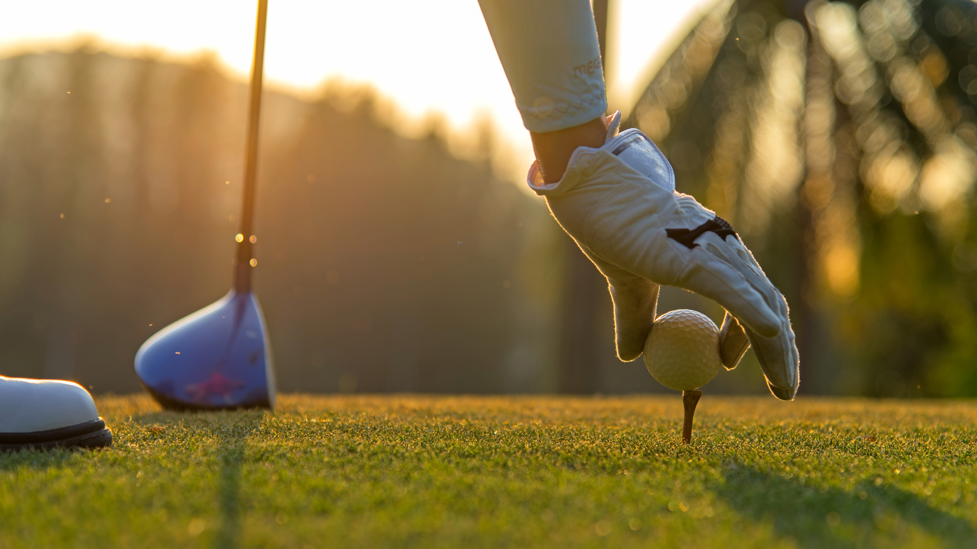 Golfer placing a golf ball on the tee